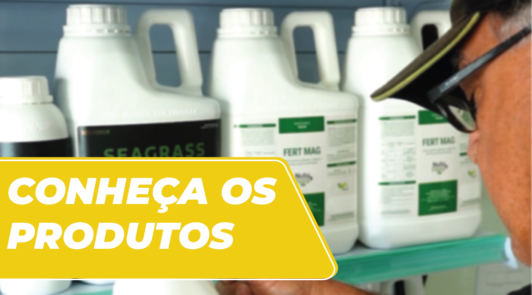 2) Conheça nossas soluções inovadoras